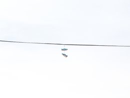 Blaue Niketurnschuhe hängen an einem Draht.