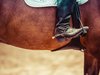 Die Beine eines Reiters auf einem Pferd mit Stiefel und Sporen.
